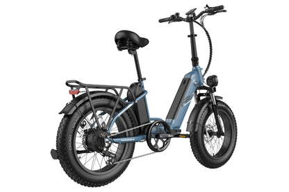 FF20 Polar