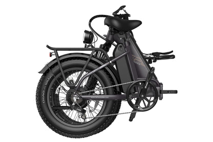 FF20 Polar